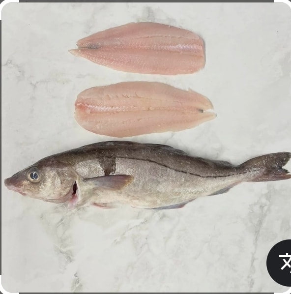 Fresh Fish & Seafood