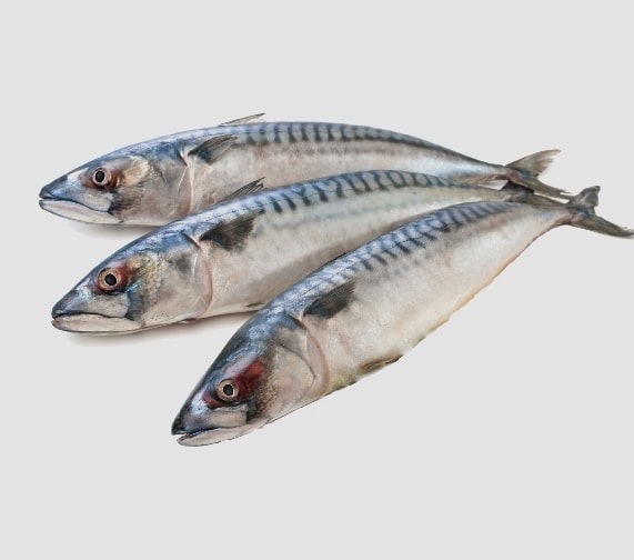 Smoked Mackerel