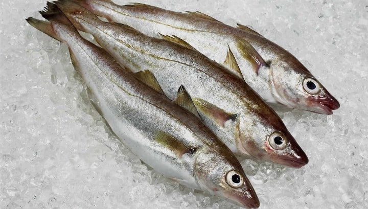 Whiting