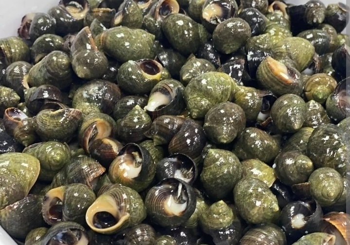 Winkles